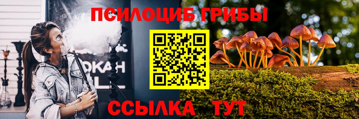 закладки  Псилоцибиновые грибы мицелий  Псилоцибиновые грибы GOLDEN TEACHER  Вход с VPN  Донецк 