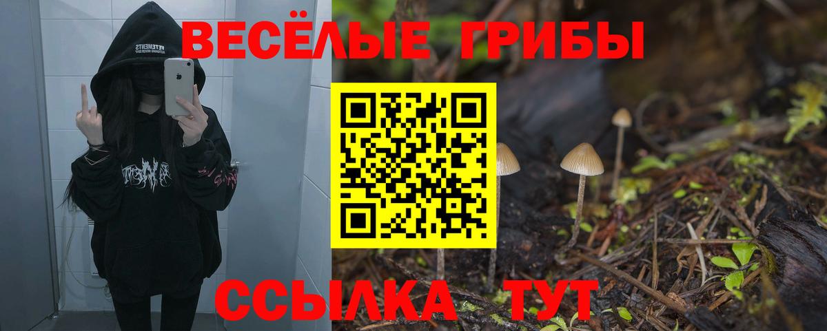 Галлюциногенные грибы прущие грибы Донецк